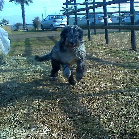 Hotel Da Mariuccia Robecchetto con Induno